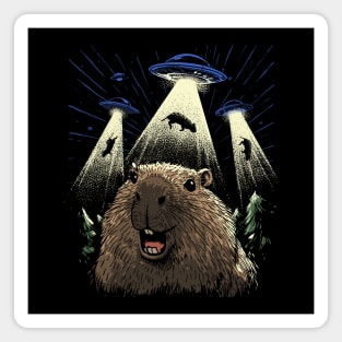Capybara Abduction Magnet